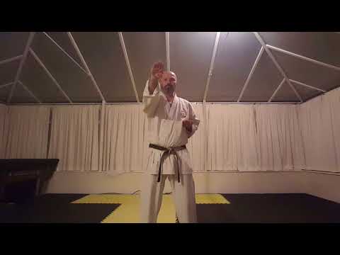 Haito Uchi, Shuto Tsuki & Gyaku Shuto