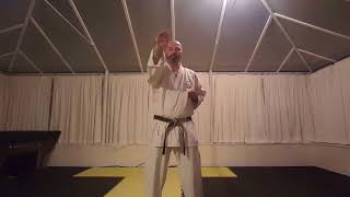 Haito Uchi, Shuto Tsuki & Gyaku Shuto