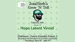 Hop Latent Viroid in Cannabis  The dreaded Cannabis Virus