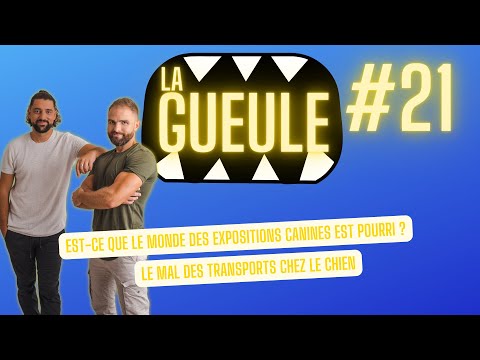 La Gueule ! #21 - Les expositions canines - Le mal des transports chez le chien