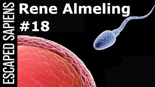 #18 Rene Almeling | What Is Happening To Men's Reproductive Health?