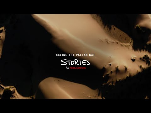 Pompei preview