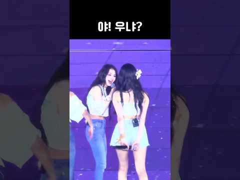 야! 우냐? [프로미스나인]