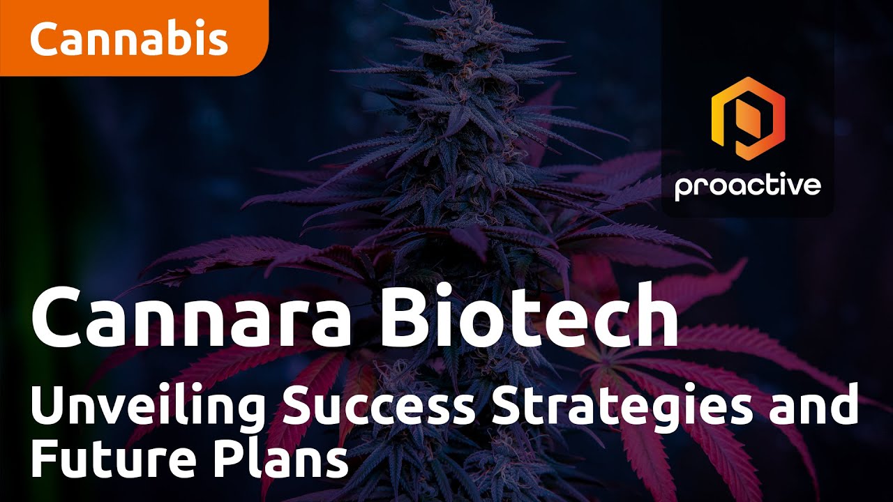 Cannara Biotech CFO Nicholas Sosiak: Unveiling Success Strategies and Future Plans