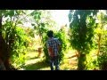 Trailer Casa Assombrada