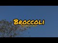 DRAM Broccoli Lyrics Feat Lil Yachty