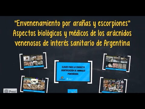 Envenenamiento por arañas y escorpiones.