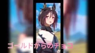 2026年ステイゴールドからトレーナーに向けて愛のバレンタインチョコ