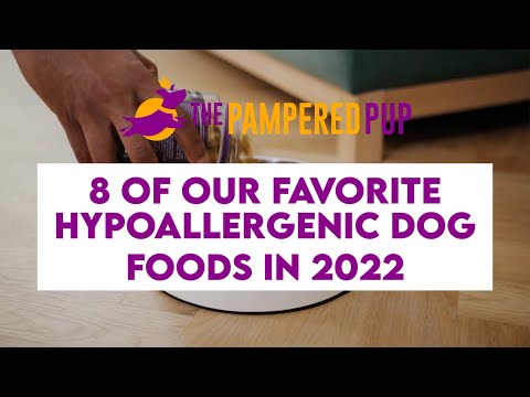 Best Hypoallergenic Dog Food Brands in 2022