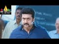 Singam Yamudu 2 Movie Back To Back Fight Scenes Suriya Sri Balaji Video