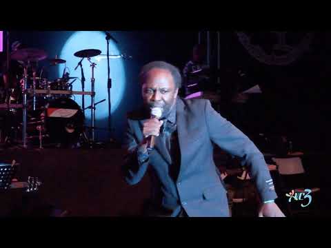 VINCY MAS CALYPSO SEMIS 2019 Tajoe   Farmer - Jack Diaries