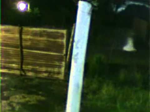 la novia de la carretera