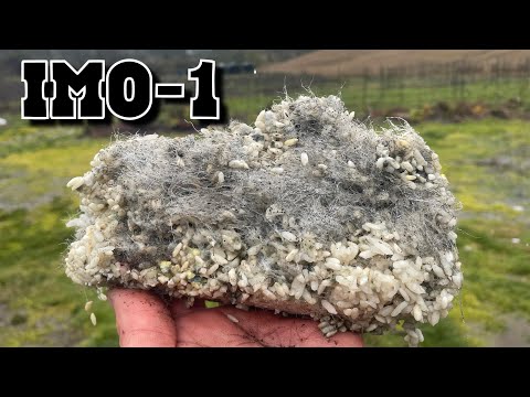 (IMO 1-2) Full Collection Process. KNF. Techniques for winter collections. Indigenous Microorganisms