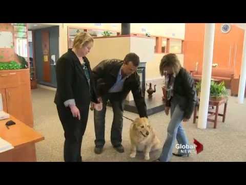 The Farley Foundation