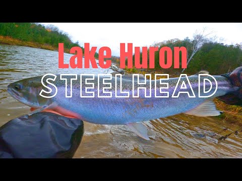 Huron lake Tributary Steelhead Float Fishing (and My Setup)