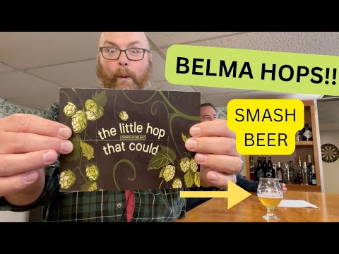 What Do Belma Hops Taste Like? - SMaSH Beer Experiment