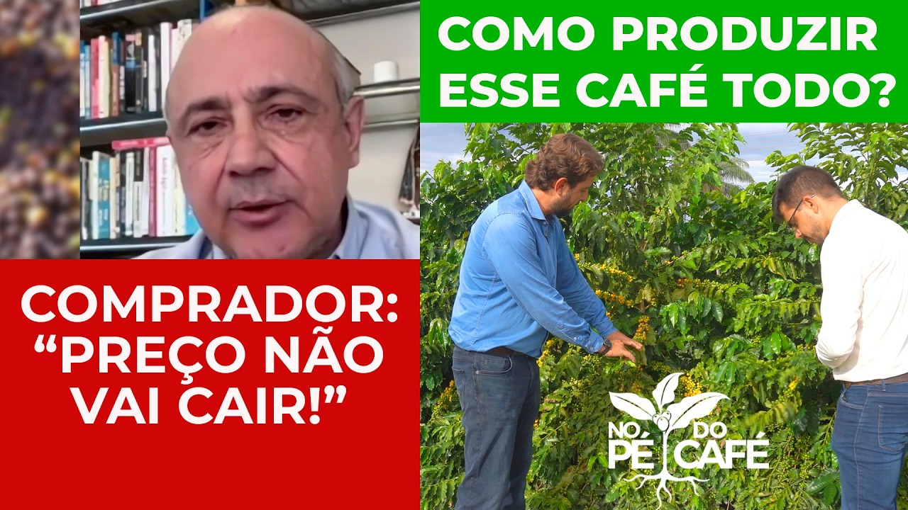 Comprador de Café acredita que o PREÇO da SACA NÃO VAIR CAIR - COMO PRODUZIR MUITO CAFÉ?