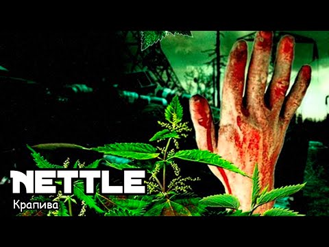 , title : 'Крапива / Nettle (2016) Трэш-фильм!'