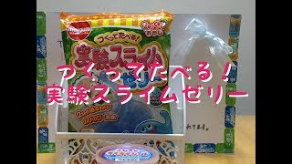 【実験スライムゼリー】食べるスライム！？