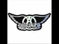 Aerosmith Pink