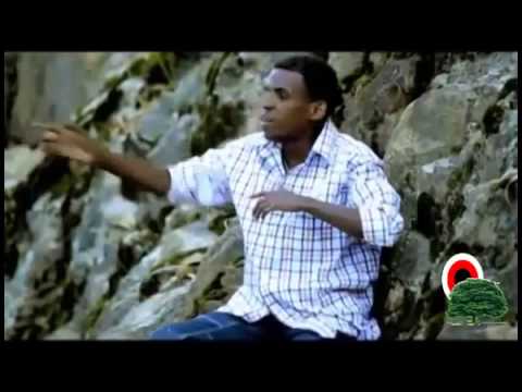 Ashanaafii Dinqaa - Ushuruuru (Oromo-Oromia)