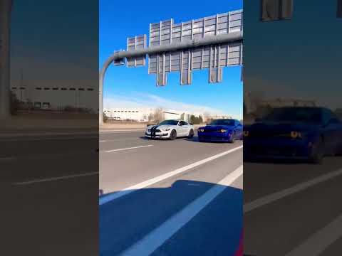 Thumbnail for Whipple 800R GT350 ￼vs stock, Hellcat Redeye ￼ #mustang #dragrace #hellcat #redeye #streetrace