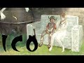 ICO Review MightyNifty