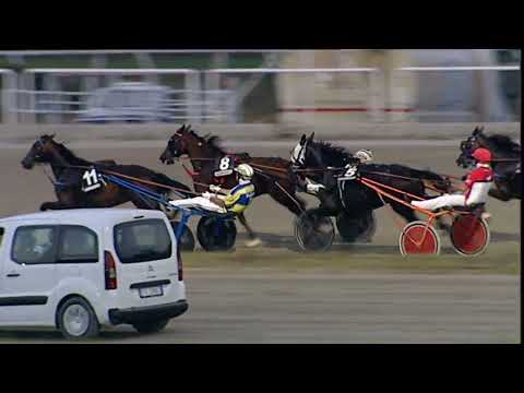 Napoli Trotto 21/07/2023 - 3ª corsa