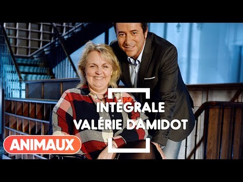 Valérie Damidot dans Animaux Stars - Animaux