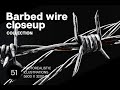 Barbed wire closeup Stock Graphics Download