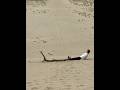 Idhar Chali Main Udhar Chali Oldsong Shortvideo
