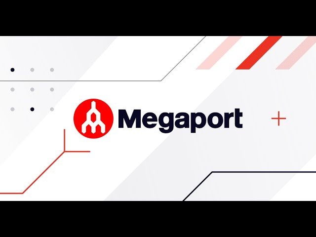 About Megaport