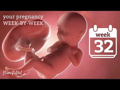 32 Weeks Pregnant - Natural Pregnancy Week-By-Week