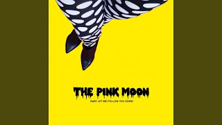 Baby Let Me Follow You Down