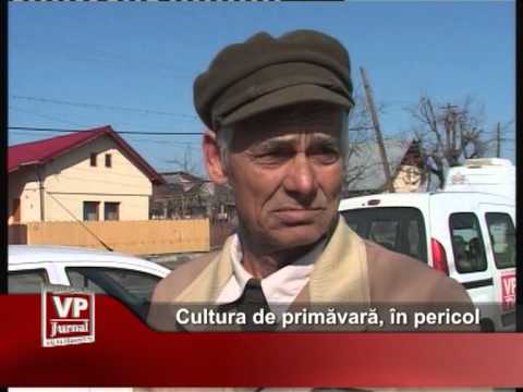 Cultura de primăvară, în pericol