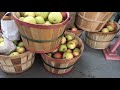 Shopping At Kyle Carver S Apple Orchard