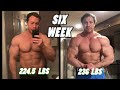 6 week physique transformation, up 11.5lbs traing at home during Corona Virus lockdown