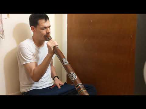 My Didgeridoo Journey (Day 139)