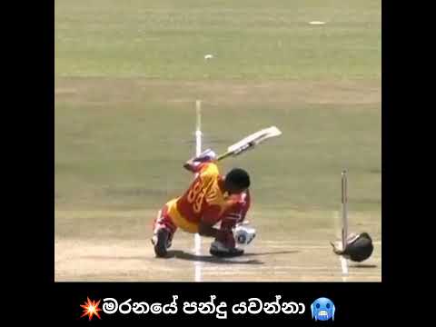 #trend #cricket #crick මරනයේ පන්දු යවන්නා 🥶💥💀