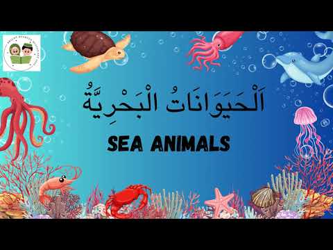 "Discover the Wonders of the Sea: Learn Arabic Names of Sea Animals | Ocean Language Adventure!"
