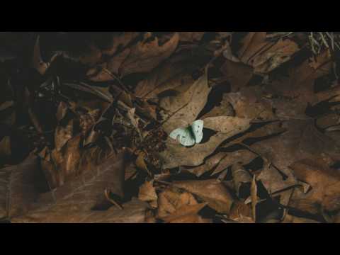 KRNE x Ghasper - Fake Friends