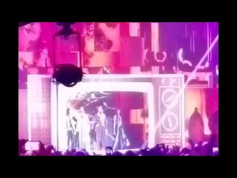 Au rendez-vous des Enfoirés 2016 - Bercy  23/01/16