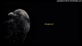 Long Distance Calling - Metulsky Curse Revisited, (post rock)