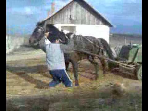 Ce face lumea la bratasani teleorman