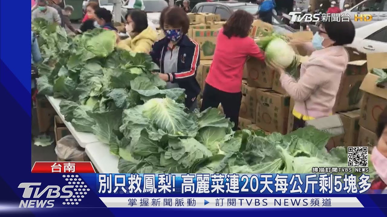 別只救鳳梨! 高麗菜連20天每公斤剩5塊多