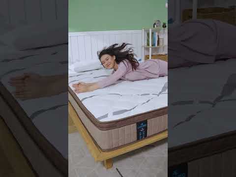 Katalog
