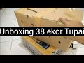 UNBOXING 38 Ekor Tupai Bajing 8 Ekor Celepuk 1 Oriental Bay Owl