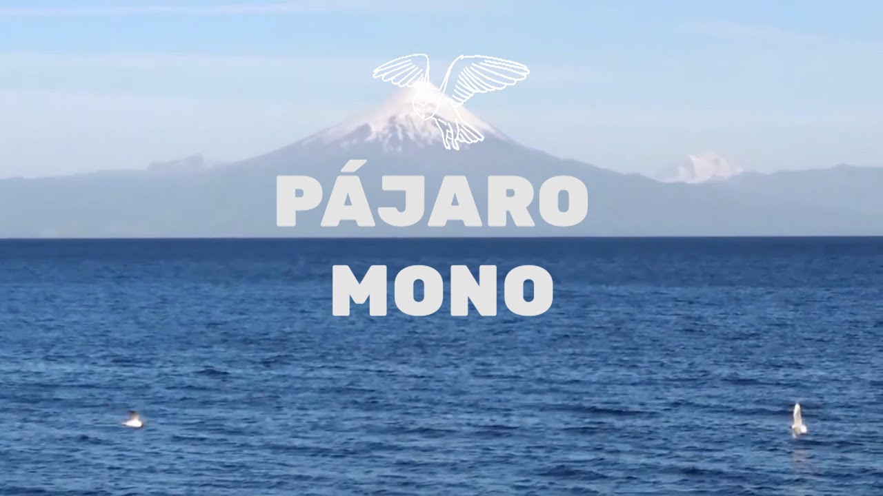 "Pájaro mono" - Cortometraje de ficción