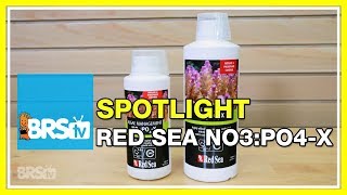 Using Red Sea NO3POX4 for a biological approach to nutrient control - BRStv