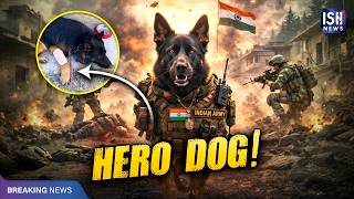 Sniffer Dog Tyson Helps Security Forces Eliminate 3 Terrorists After Being Shot